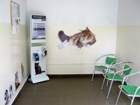 /album/fotogaleria/img-0001-jpg/