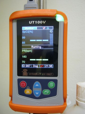 Pulzný oximeter UT 100 V